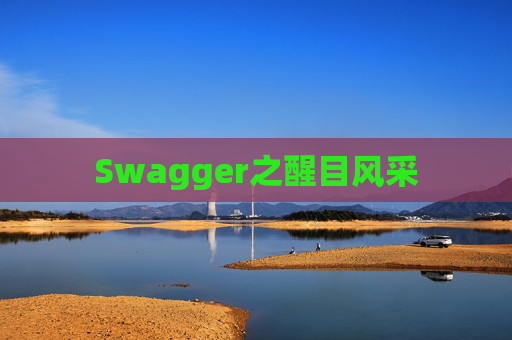 Swagger之醒目风采